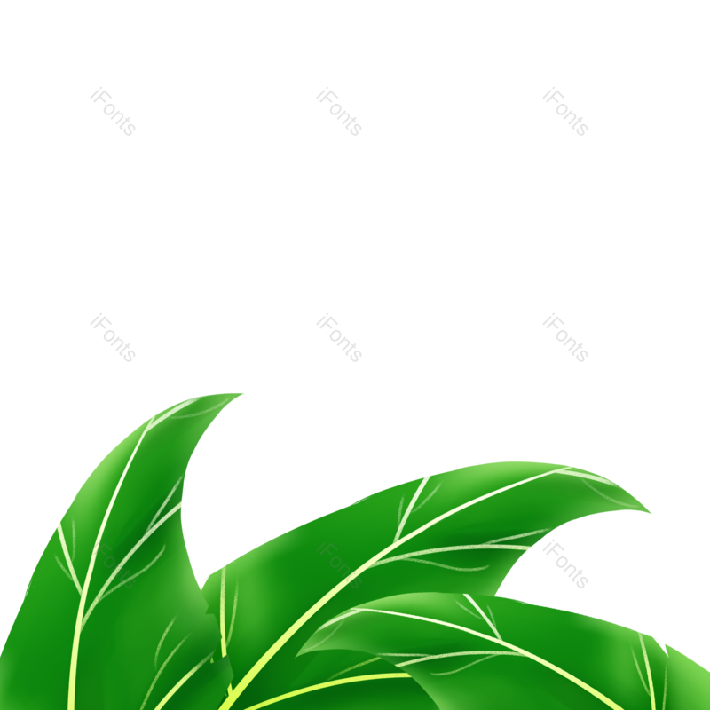 插画图片,春季素材元素,卡通元素PNG,绿色元素免抠素材